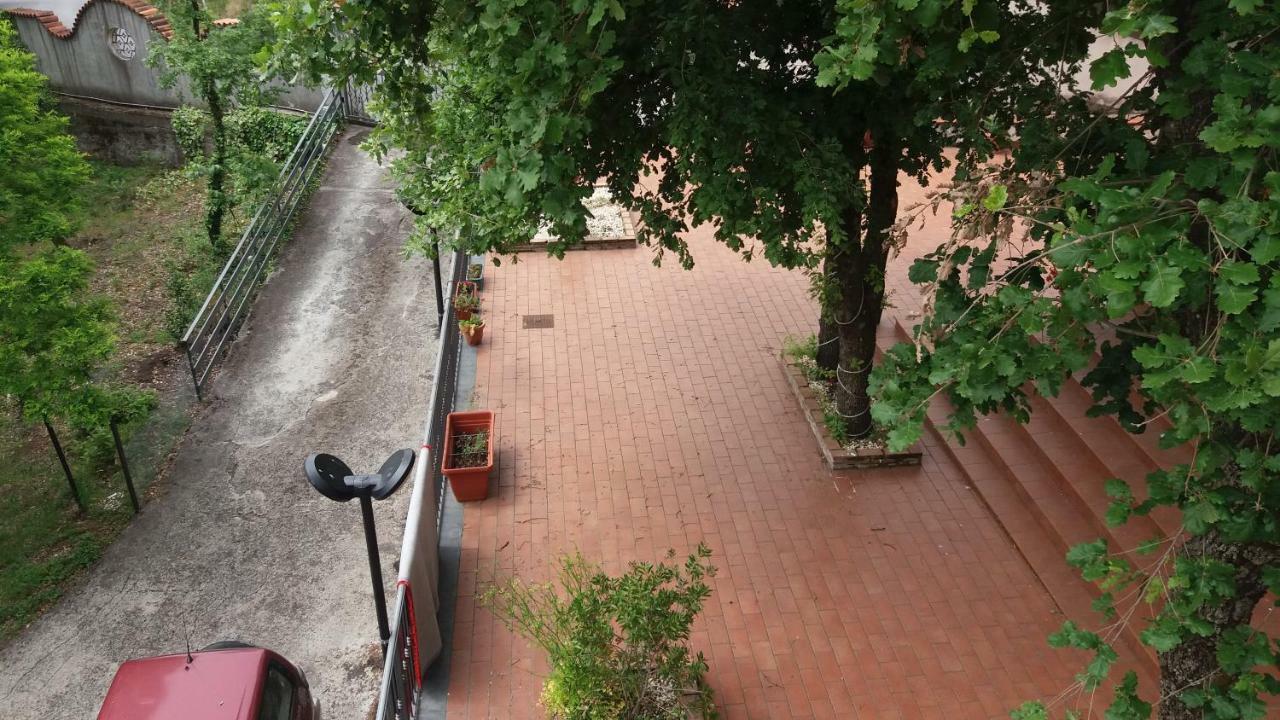 B&B Le Tre Rose Di Maria Pedara Eksteriør billede